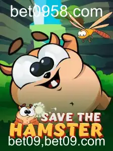 Descubra o Encantador Mundo de SavetheHamster